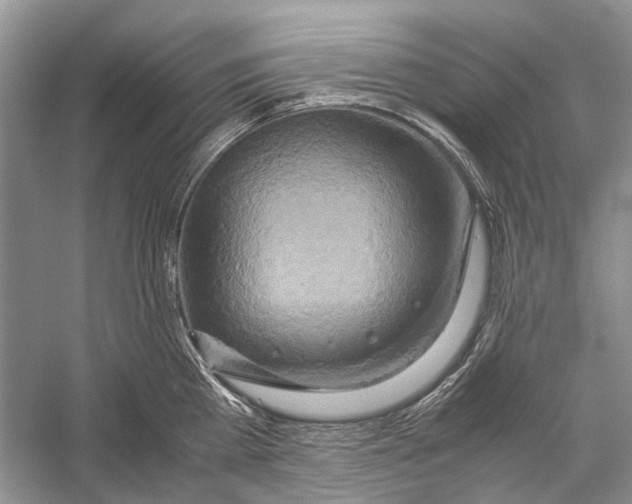 X0000057040809200510071404