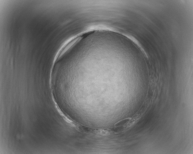 X0000057040815200510071404