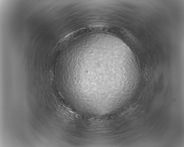 X0000057040821200510071403