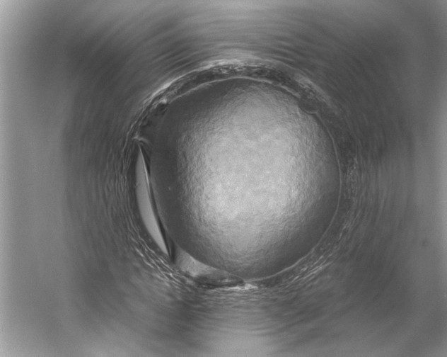 X0000057040822200510071403