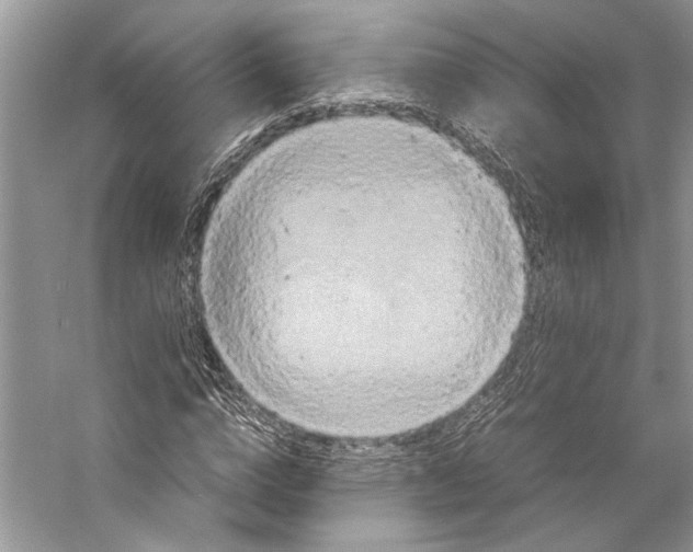 X0000057040824200510071403