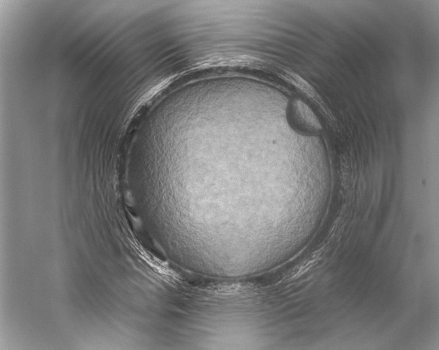 X0000057040826200510071403