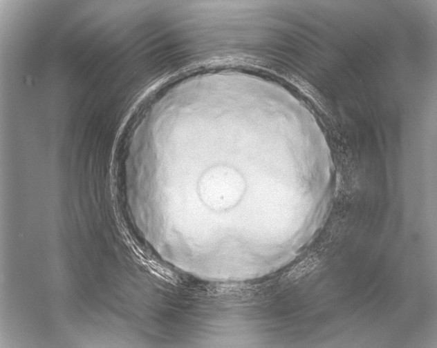 X0000057040832200510071403