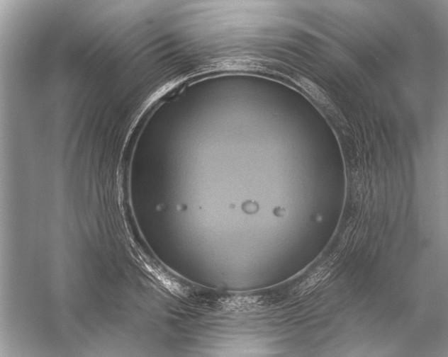 X0000057040846200510071403