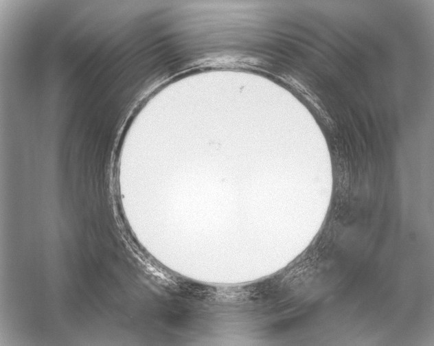 X0000057040848200510071403