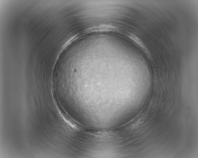 X0000057040850200510071403