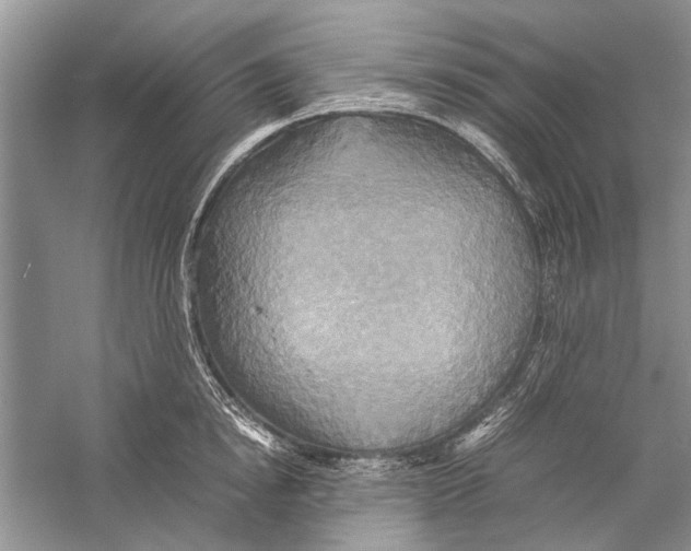 X0000057040854200510071404