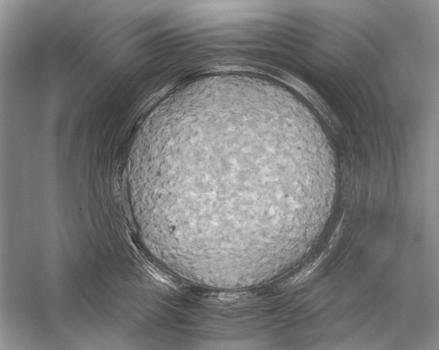 X0000057040857200510071404