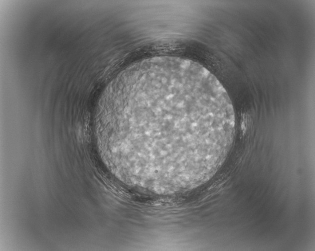 X0000057040867200510071403
