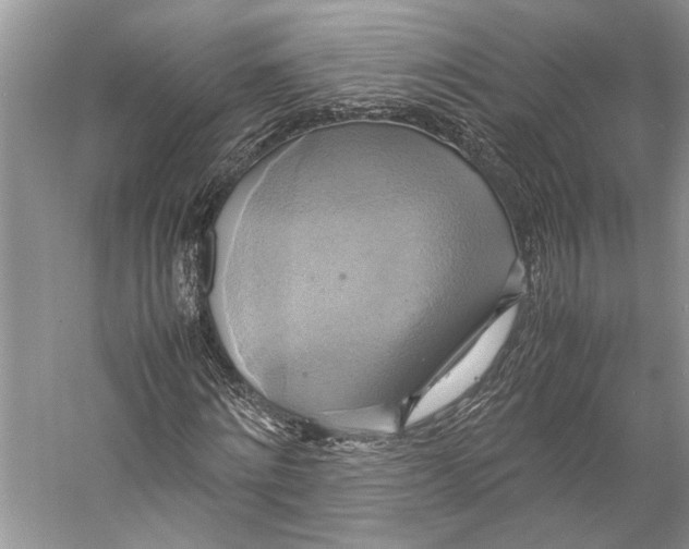 X0000057040868200510071403