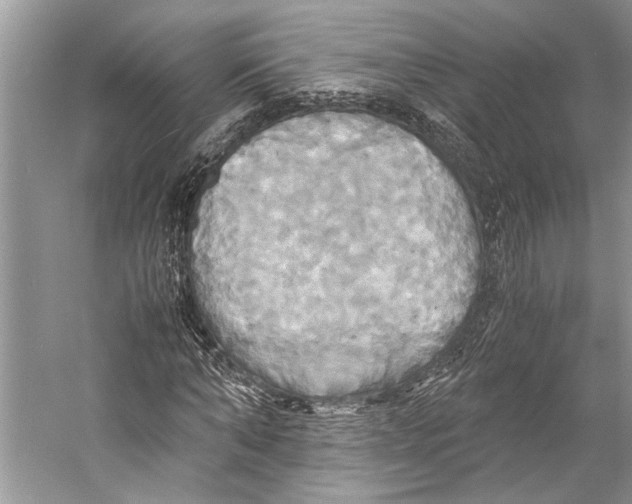 X0000057040870200510071403