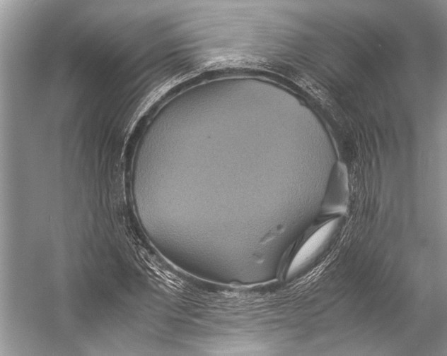 X0000057040877200510071403