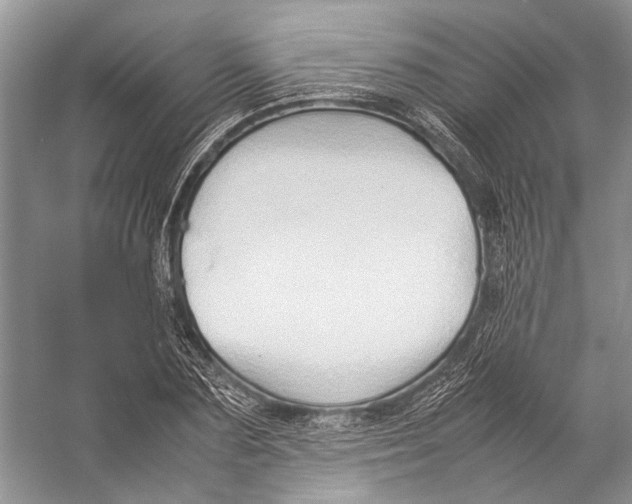 X0000057040883200510071403