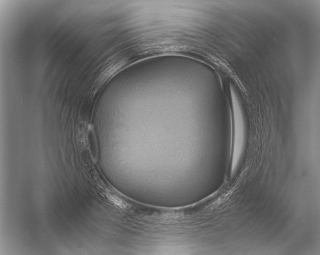 X0000057040889200510071402