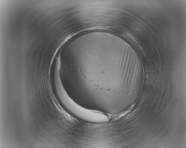 X0000057040892200510071402