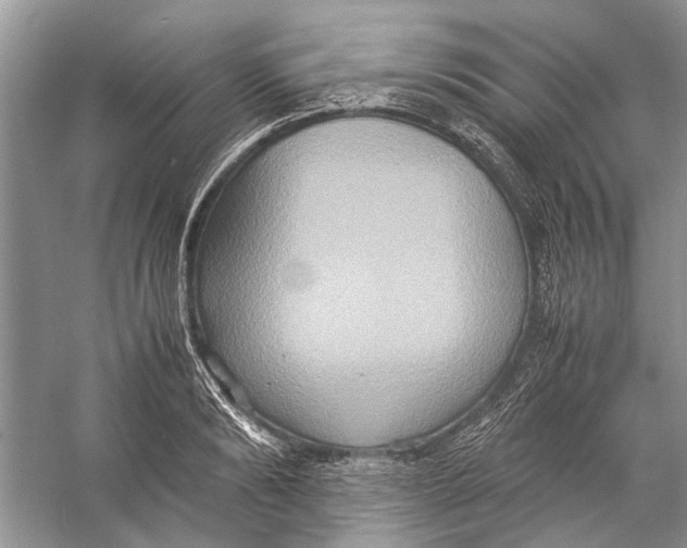 X0000057040894200510071402