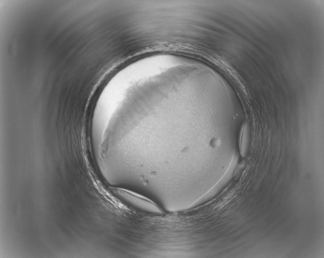 X0000057040896200510071402