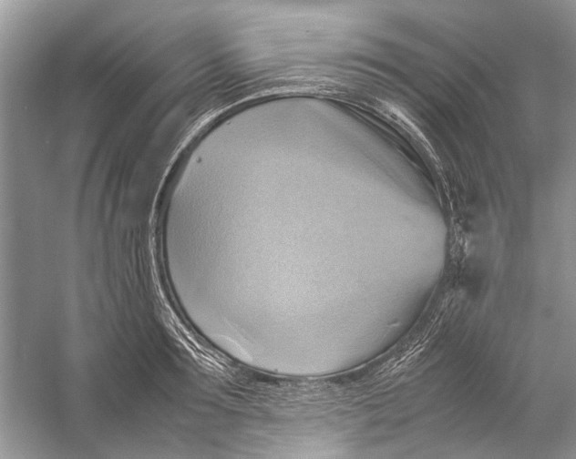X0000057040899200510071402