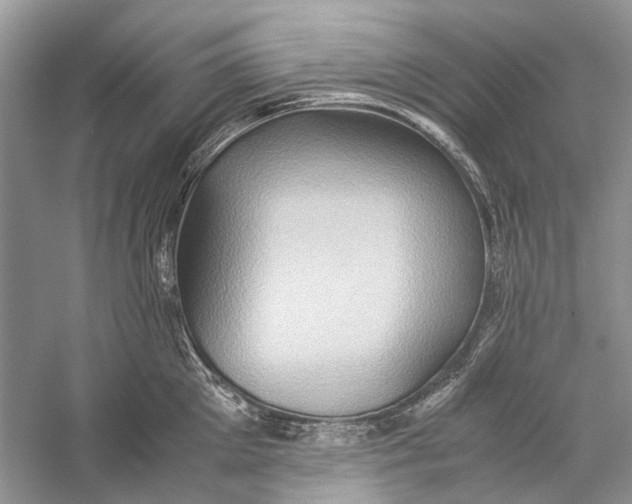 X0000057040905200510071402