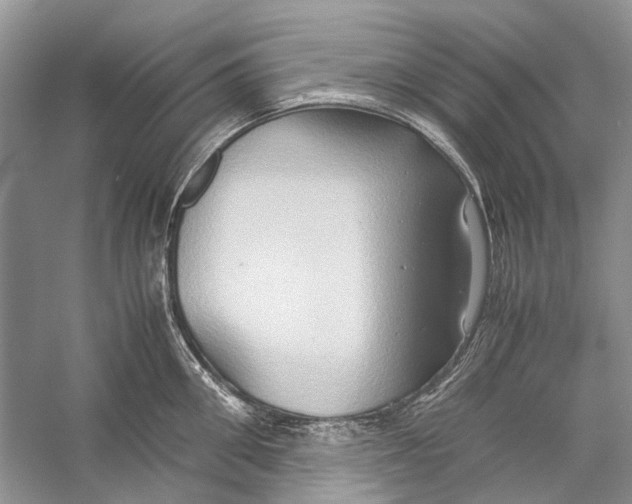 X0000057040906200510071402