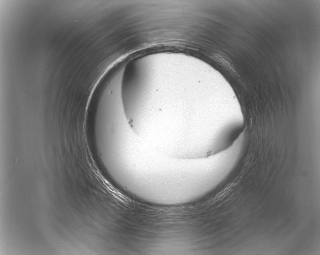 X0000057040924200510071401