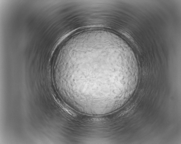 X0000057040933200510071401