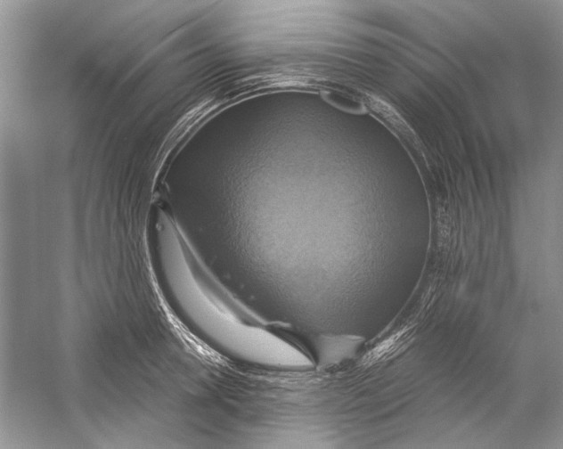 X0000057040946200510071402