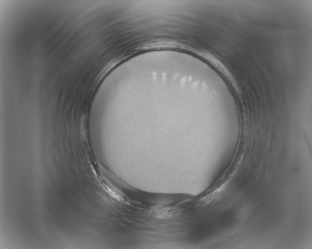 X0000057040953200510071402