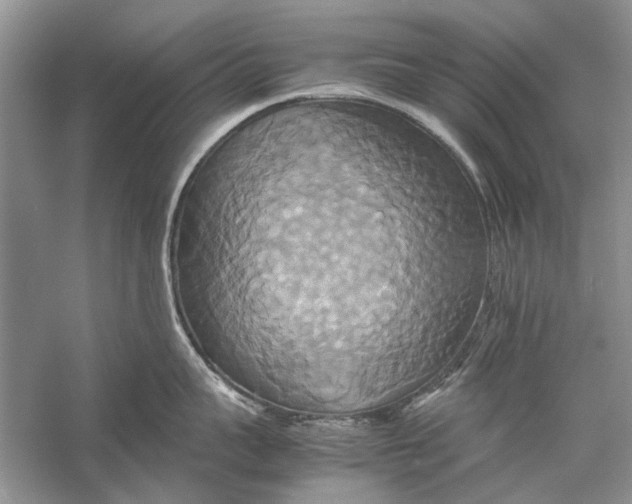 X0000057040959200510071402