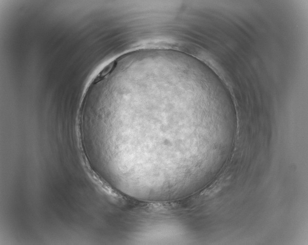 X0000057040960200510071402