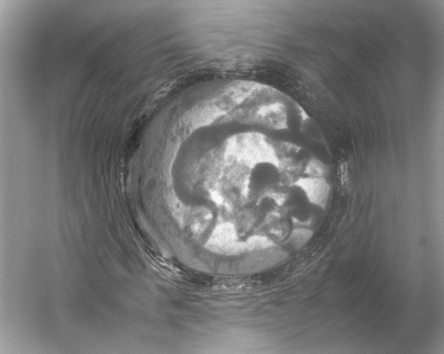 X0000057040963200510071401