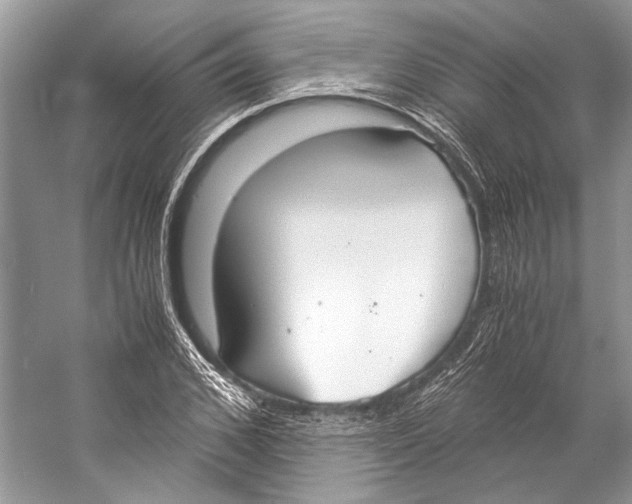X0000057040976200510071401