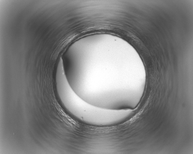 X0000057040977200510071401