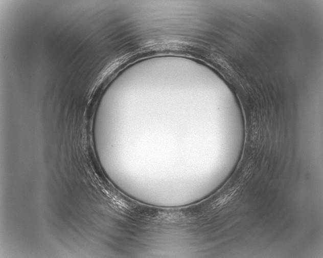 X0000057040978200510071401