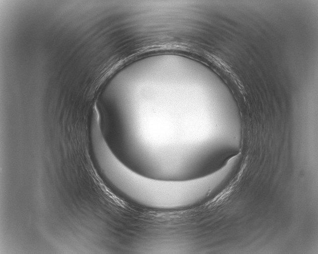 X0000057040985200510071401