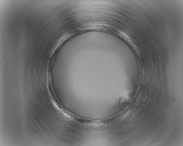 X0000057040994200510071400