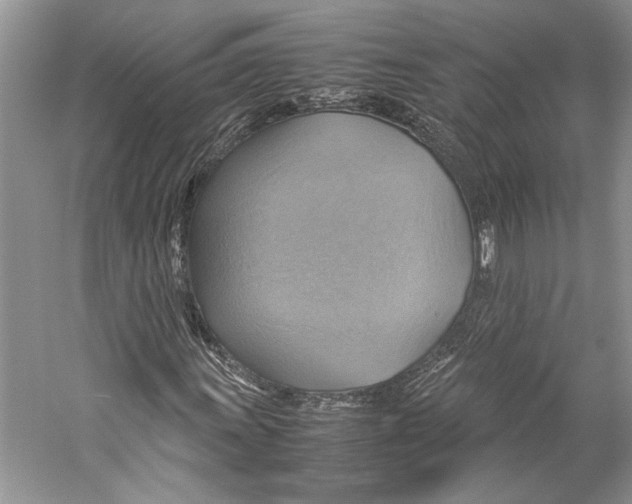 X0000057041011200510071359