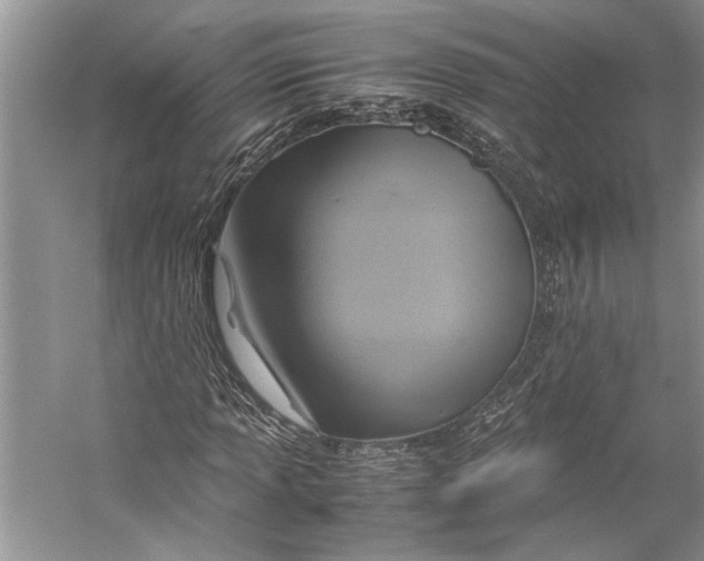 X0000057041013200510071359