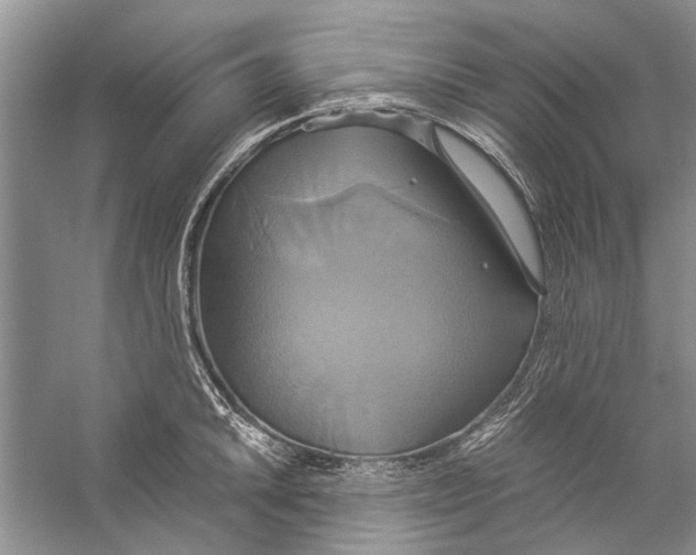 X0000057041046200510071400