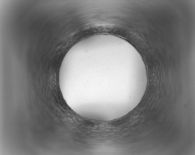 X0000057041061200510071359