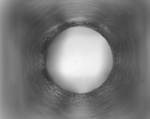 X0000057041062200510071359