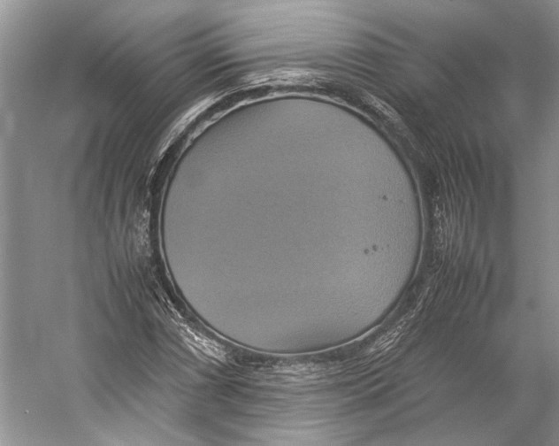 X0000057041066200510071359