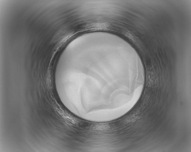 X0000057041074200510071359