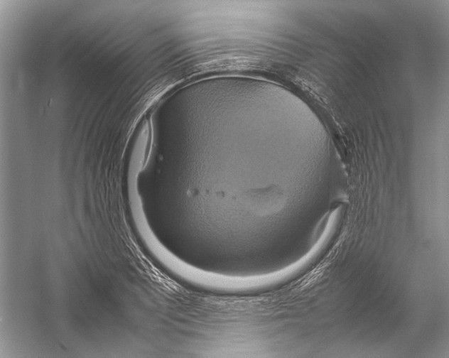 X0000057041081200510071359