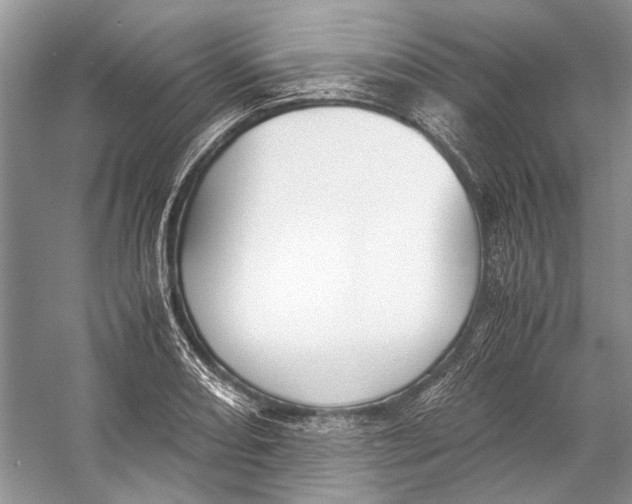 X0000057041082200510071359