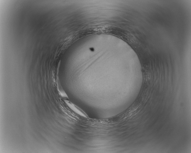 X0000057041106200510071358