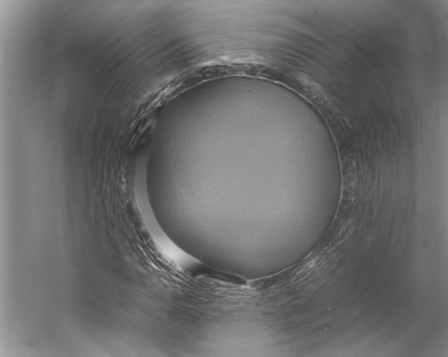 X0000057041110200510071358