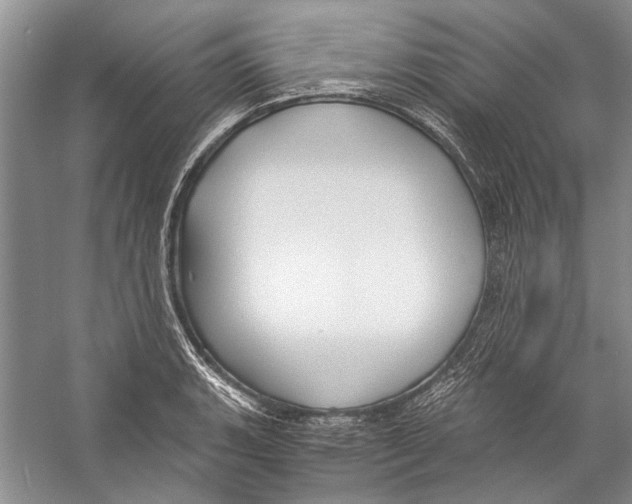 X0000057041135200510071358