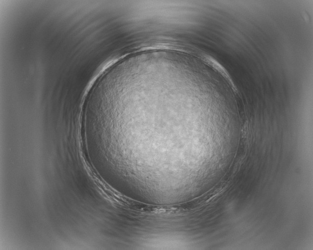 X0000057041146200510071358