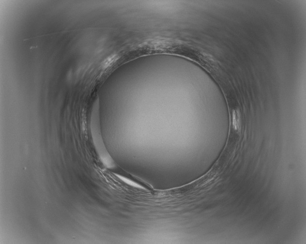 X0000057041155200510071358